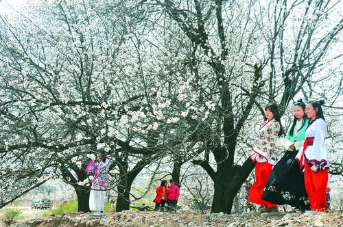 万彩网2816万 数字创意设计平台